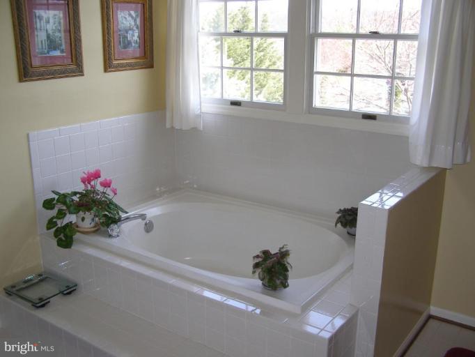 1203 Brookview Road Towson, MD 21286 - Photo 13 of 25 a bath room with a bathtub and a potted plant