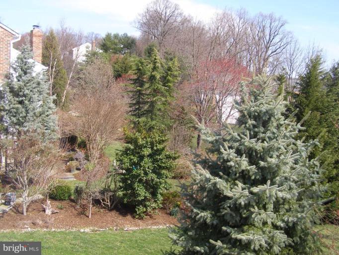 1203 Brookview Road Towson, MD 21286 - Photo 6 of 25 a view of a yard with plants and a bench