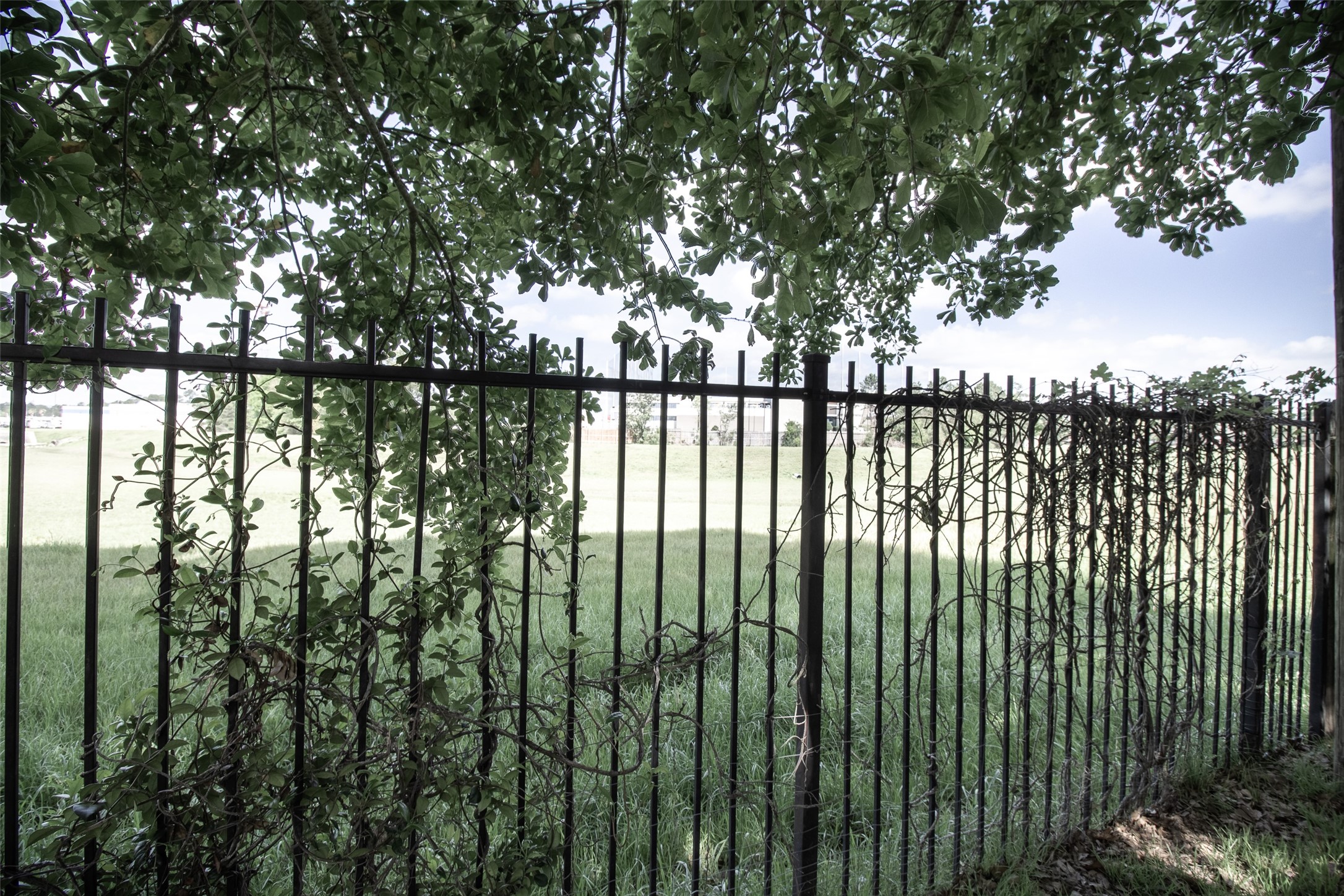303 Burris Park Drive Spring, TX 77373 - Photo 25 of 45 backyard