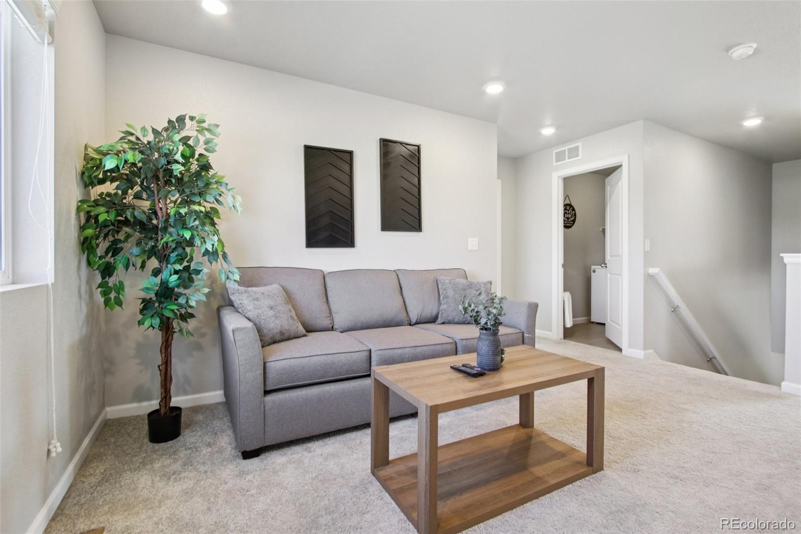 1907 Homestead Drive Fort Lupton, CO 80621 - Photo 19 of 47 a living room with furniture and a potted plant