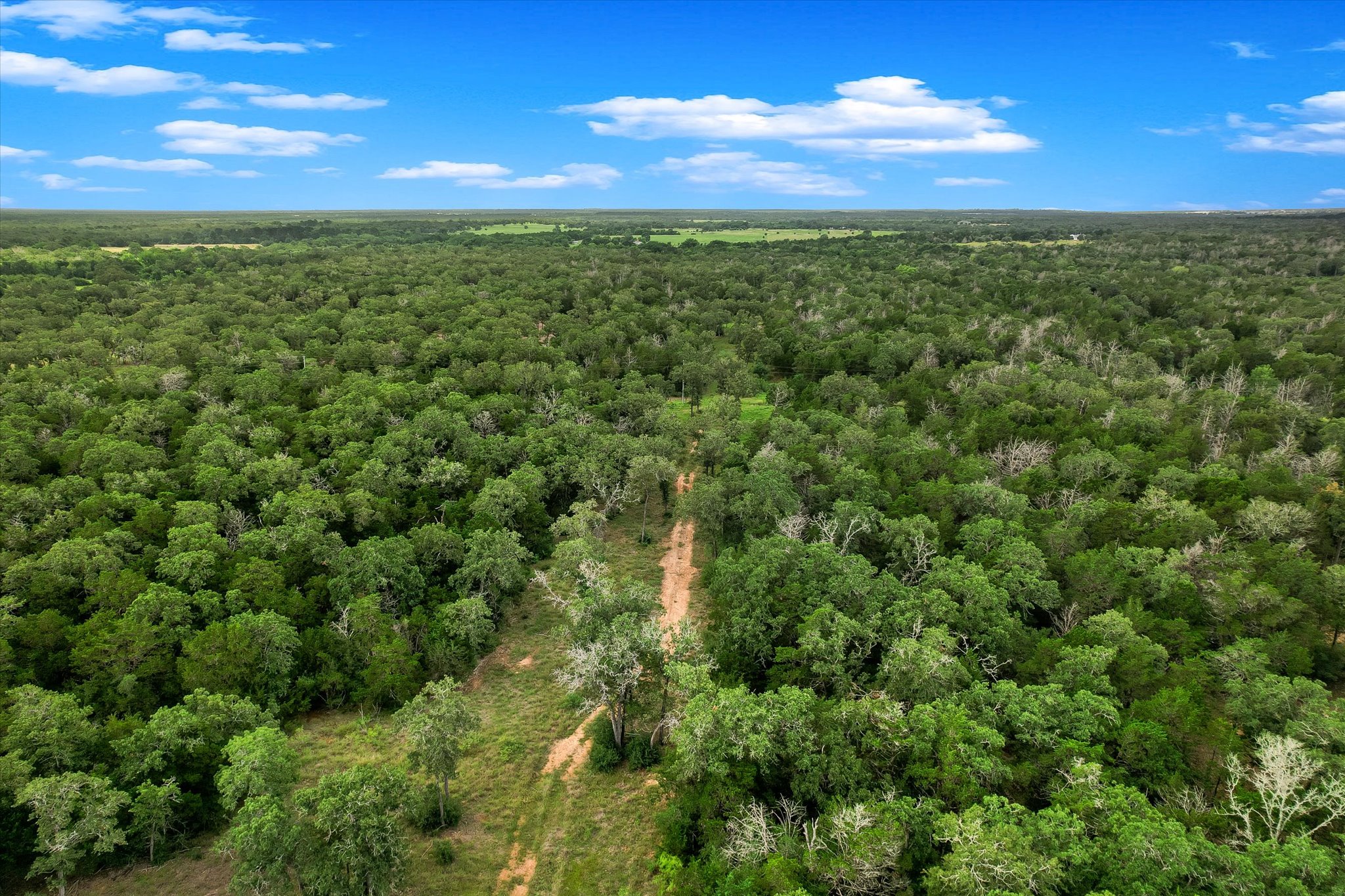 12-13 High Crossing Road Smithville, TX 78957 - Photo 12 of 15