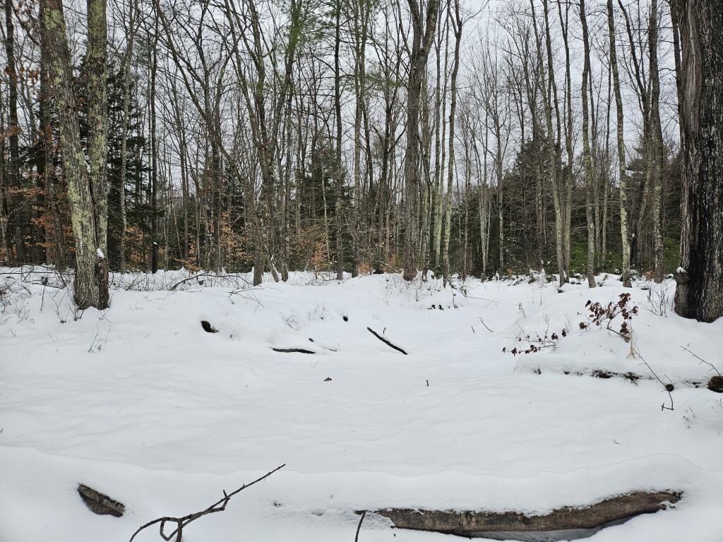 33 North Fryeburg Road Fryeburg, ME 04037 - Photo 16 of 36 15 stream