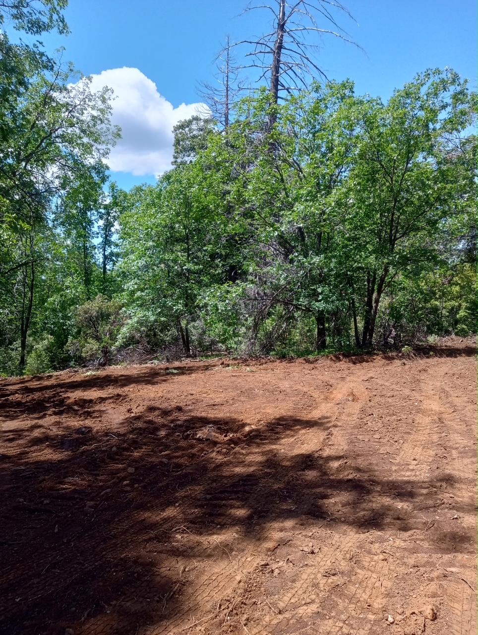 a view of a backyard of the house