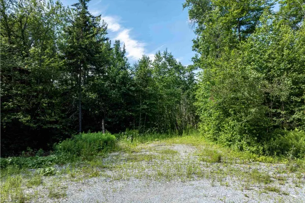 $325,000 | 0 Turtle Hill Road, Ludlow, VT 05149