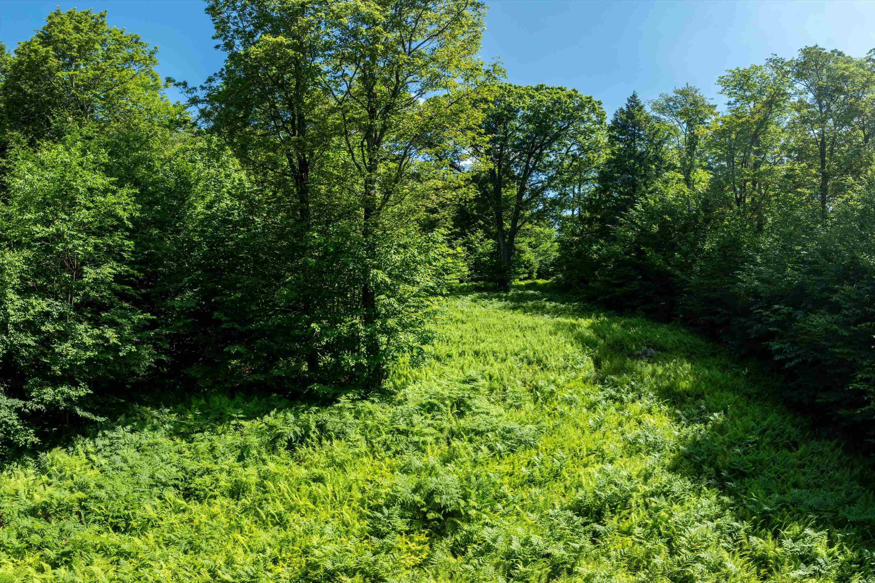 0 Turtle Hill Road Ludlow, VT 05149 - Photo 11 of 19