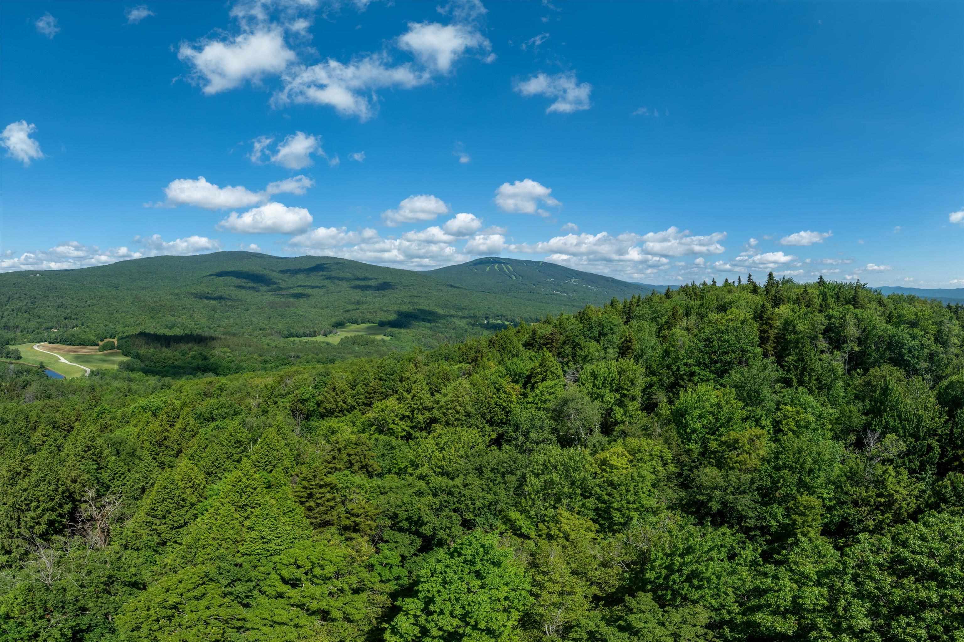 0 Turtle Hill Road Ludlow, VT 05149 - Photo 12 of 19