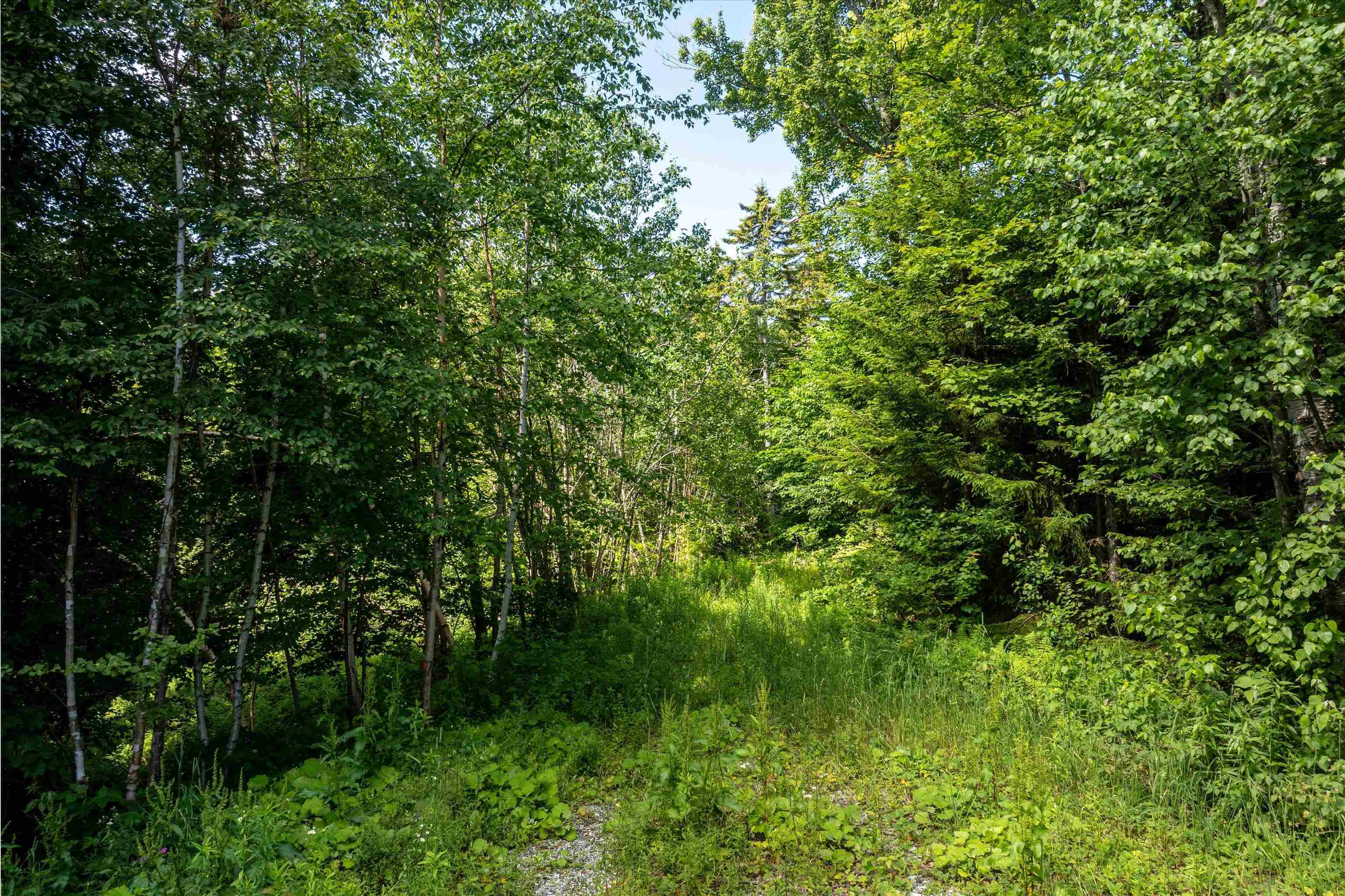 0 Turtle Hill Road Ludlow, VT 05149 - Photo 2 of 19