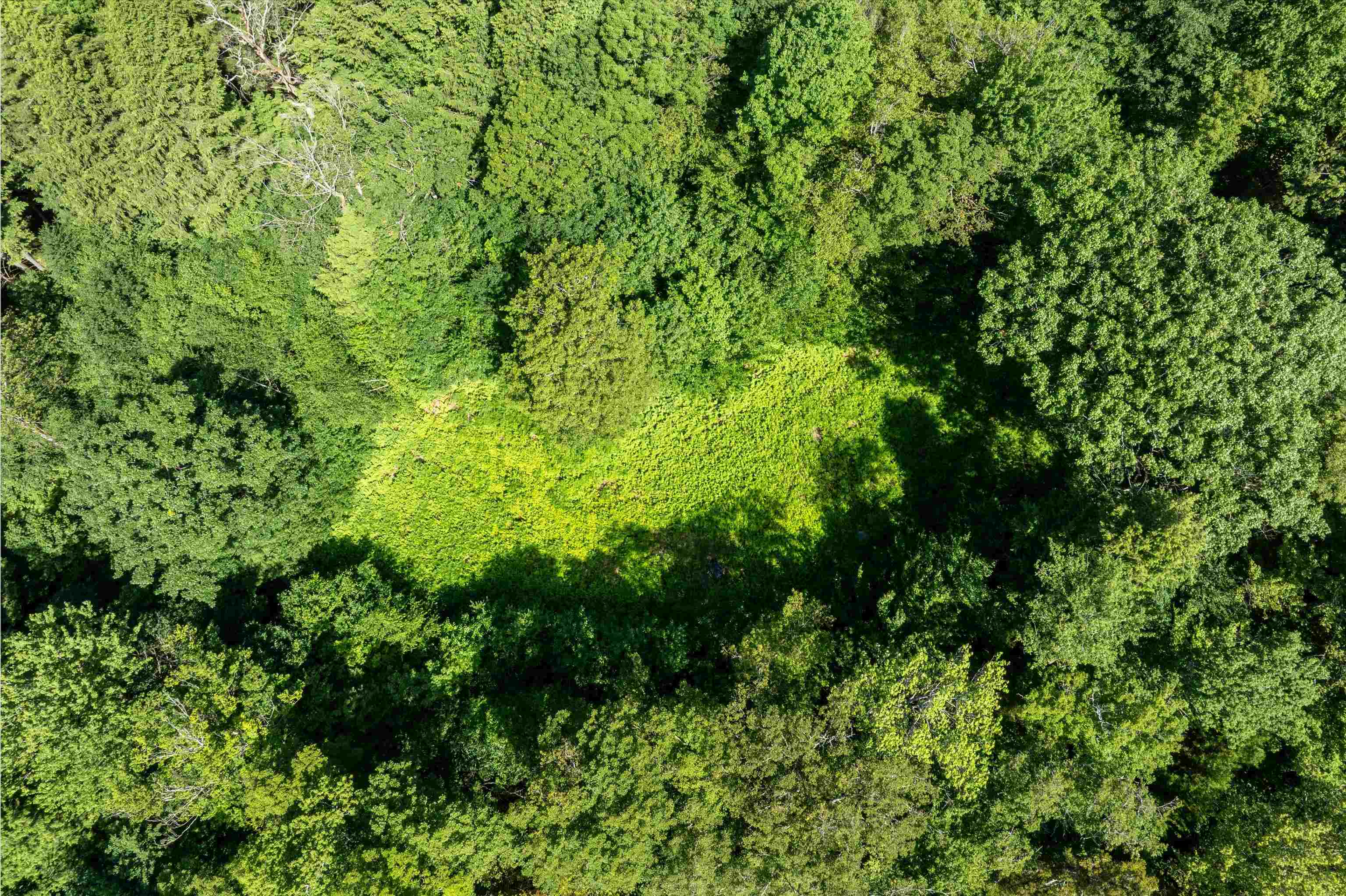 0 Turtle Hill Road Ludlow, VT 05149 - Photo 3 of 19