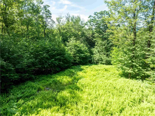 $325,000 | 0 Turtle Hill Road, Ludlow, VT 05149