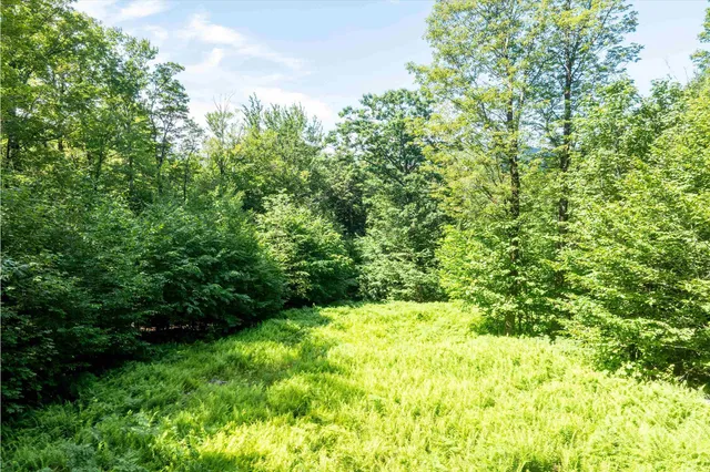 $325,000 | 0 Turtle Hill Road, Ludlow, VT 05149