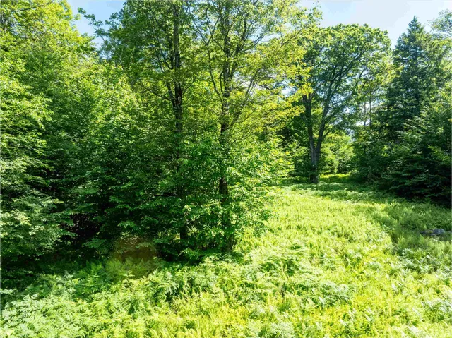 $325,000 | 0 Turtle Hill Road, Ludlow, VT 05149
