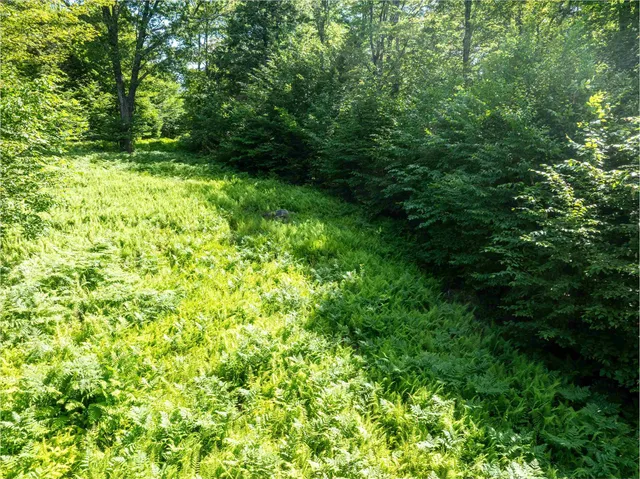 $325,000 | 0 Turtle Hill Road, Ludlow, VT 05149