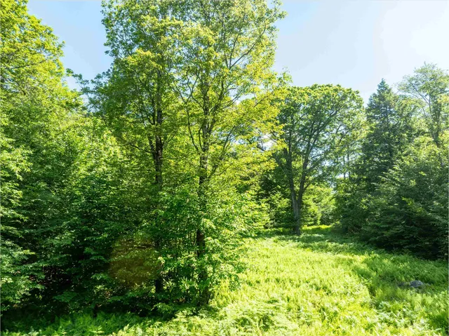 $325,000 | 0 Turtle Hill Road, Ludlow, VT 05149