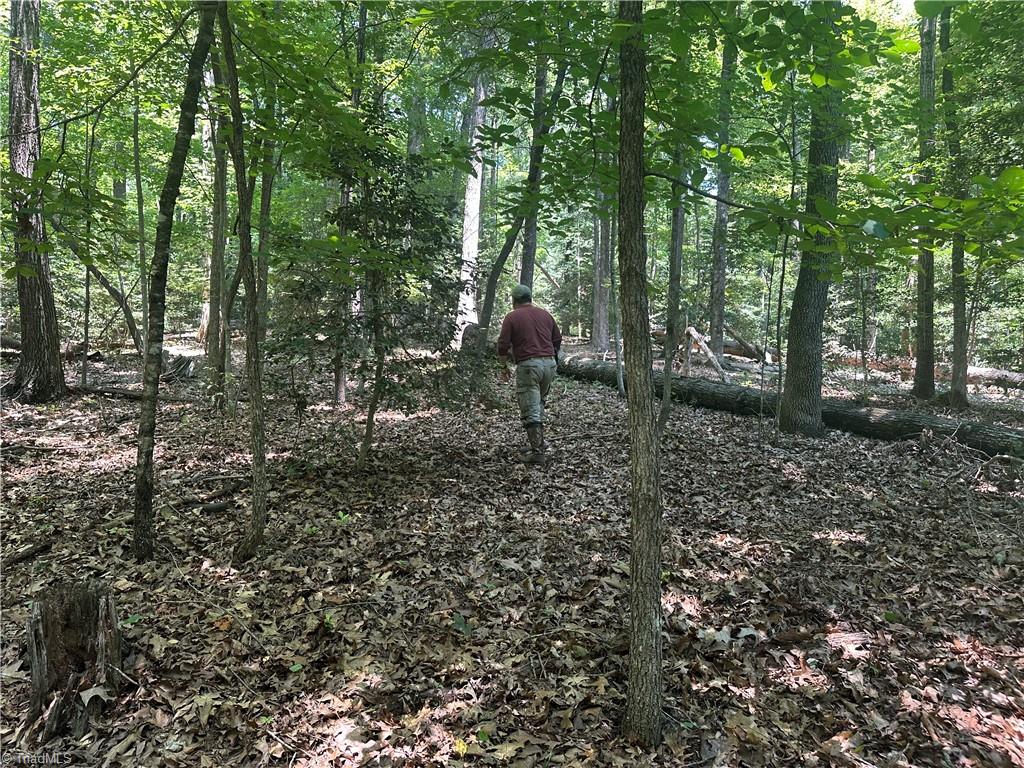 0 Sheriffs Road Lenoir, NC 28645 - Photo 11 of 18