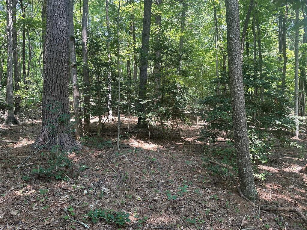 0 Sheriffs Road Lenoir, NC 28645 - Photo 12 of 18