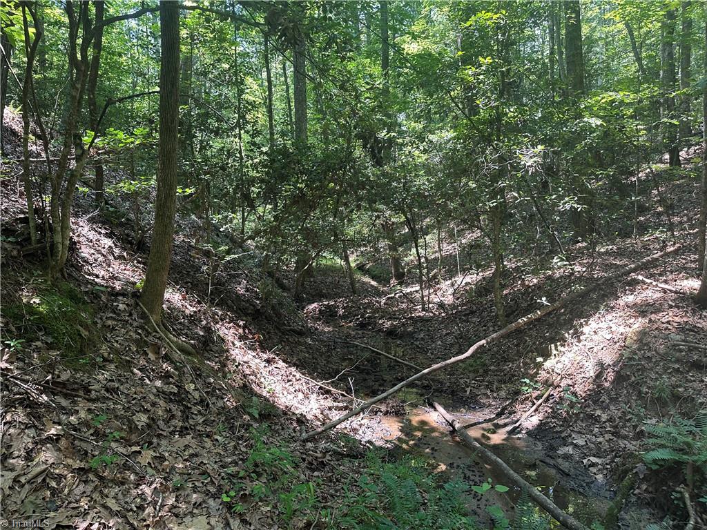 0 Sheriffs Road Lenoir, NC 28645 - Photo 13 of 18