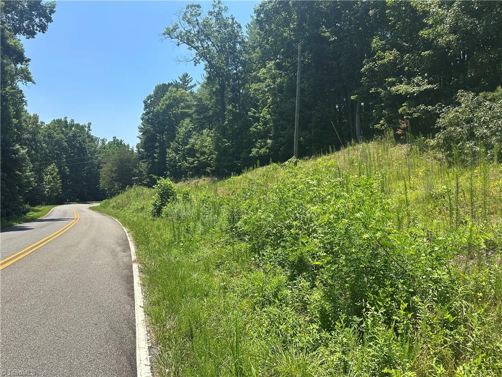 0 Sheriffs Road Lenoir, NC 28645 - Photo 3 of 18