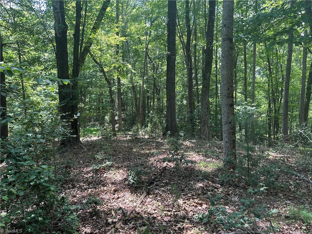 0 Sheriffs Road Lenoir, NC 28645 - Photo 5 of 18