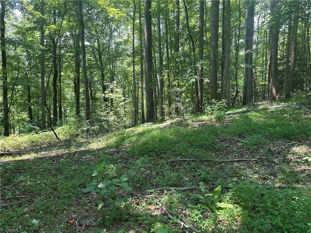 0 Sheriffs Road Lenoir, NC 28645 - Photo 6 of 18