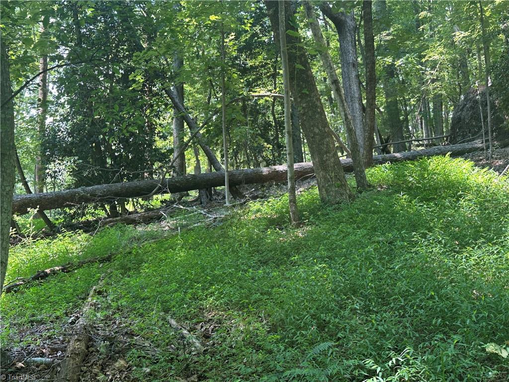 0 Sheriffs Road Lenoir, NC 28645 - Photo 7 of 18