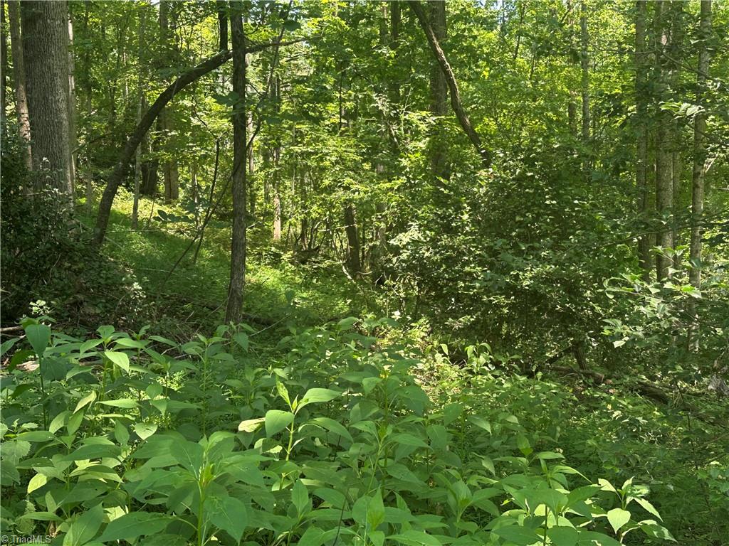 0 Sheriffs Road Lenoir, NC 28645 - Photo 9 of 18