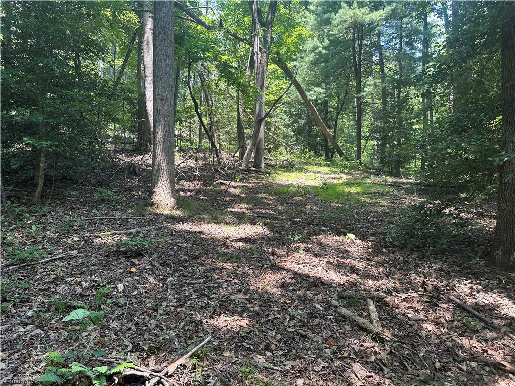 0 Sheriffs Road Lenoir, NC 28645 - Photo 10 of 18