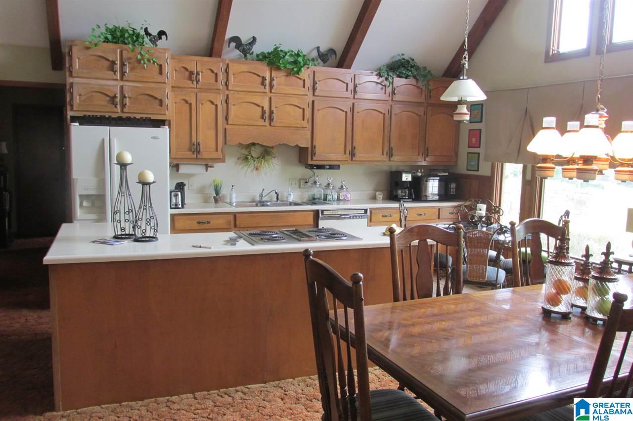 1240 Covered Bridge Circle Oneonta, AL 35121 - Photo 4 of 23