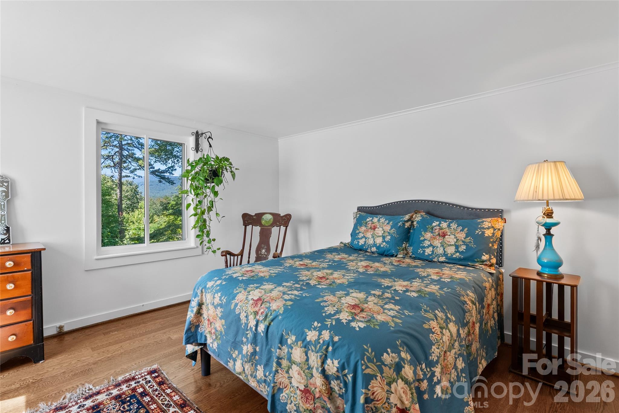 566 Canebrake Road Tryon, NC 28782 - Photo 31 of 48