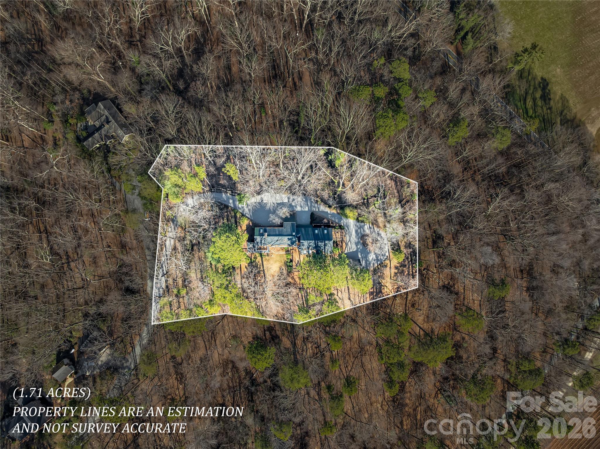 566 Canebrake Road Tryon, NC 28782 - Photo 43 of 48