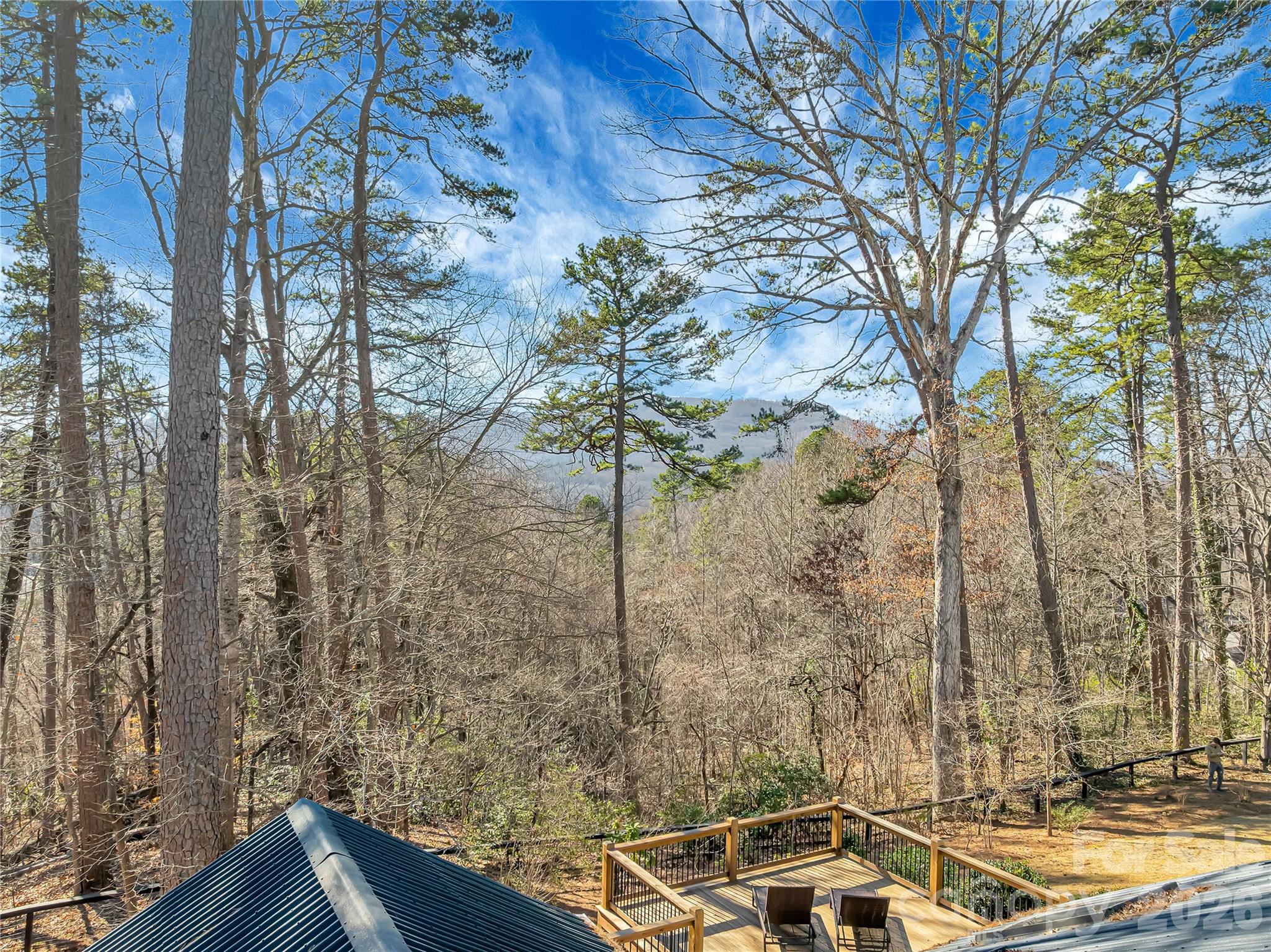 566 Canebrake Road Tryon, NC 28782 - Photo 47 of 48