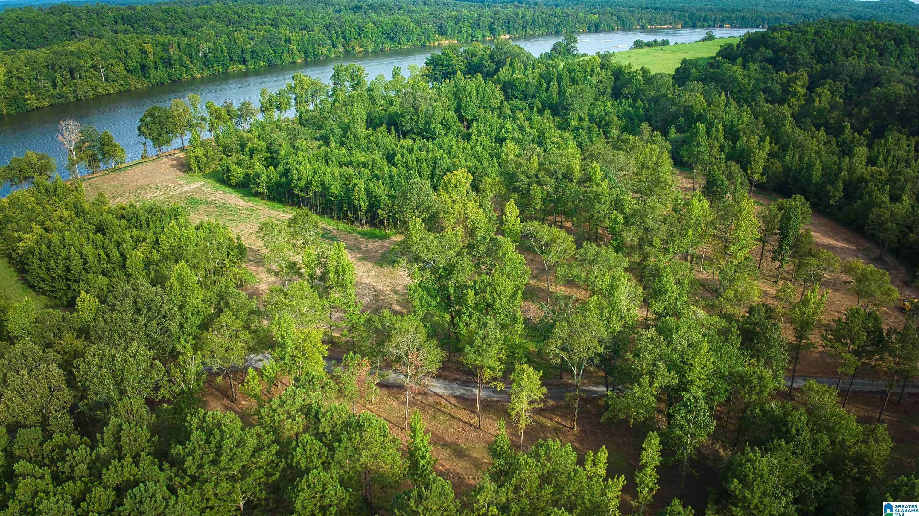 Lot 19 Wester Drive, Unit LOT 19 Ragland, AL 35131 - Photo 66 of 71