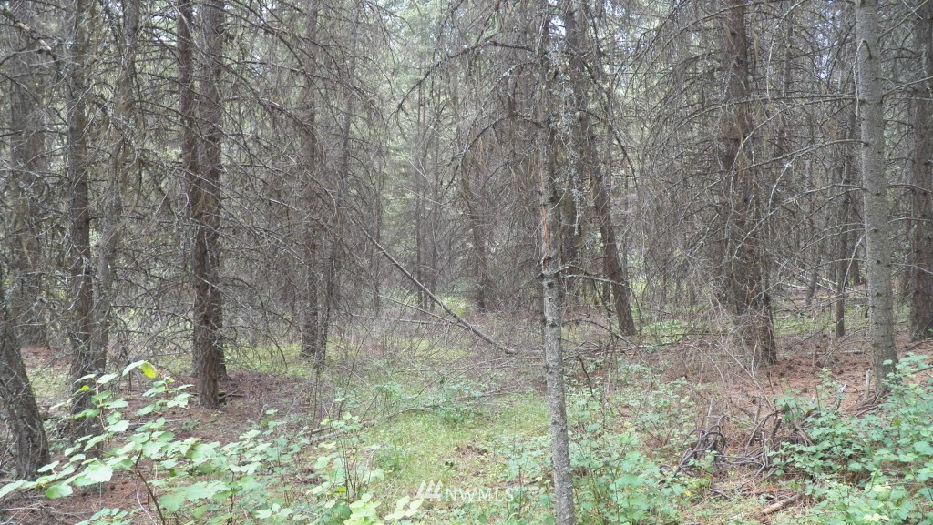 59 Lambert Creek Road Republic, WA 99166 - Photo 12 of 15 Gallery Image 12