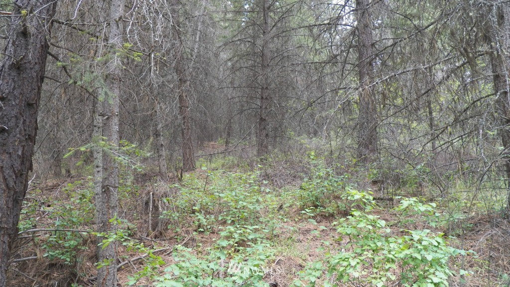 59 Lambert Creek Road Republic, WA 99166 - Photo 14 of 15 Gallery Image 14