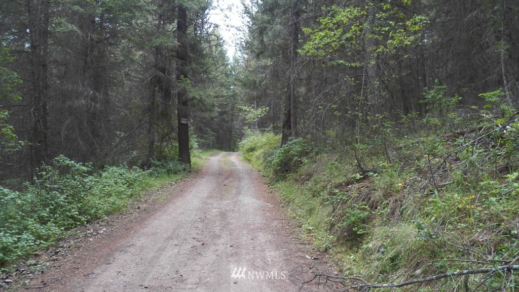 59 Lambert Creek Road Republic, WA 99166 - Photo 3 of 15 Gallery Image 3