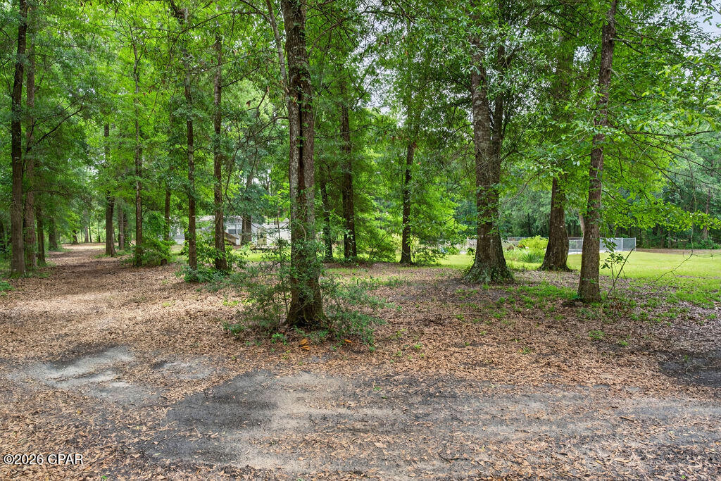 3005 Acuff Road Vernon, FL 32462 - Photo 43 of 48 Gallery Image 43