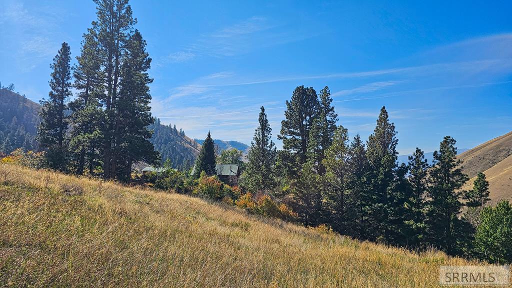 53 Runnin Bear Road Carmen, ID 83462 - Photo 61 of 66