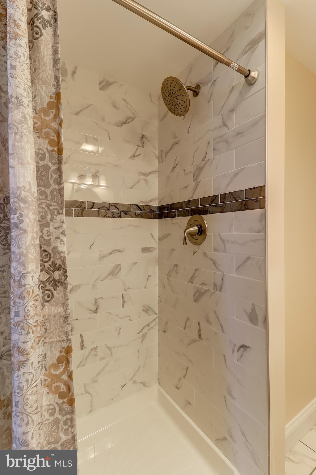 323 Homberg Avenue Baltimore, MD 21221 - Photo 13 of 30 Eazy Access Spacious Shower with Ceramic Tile