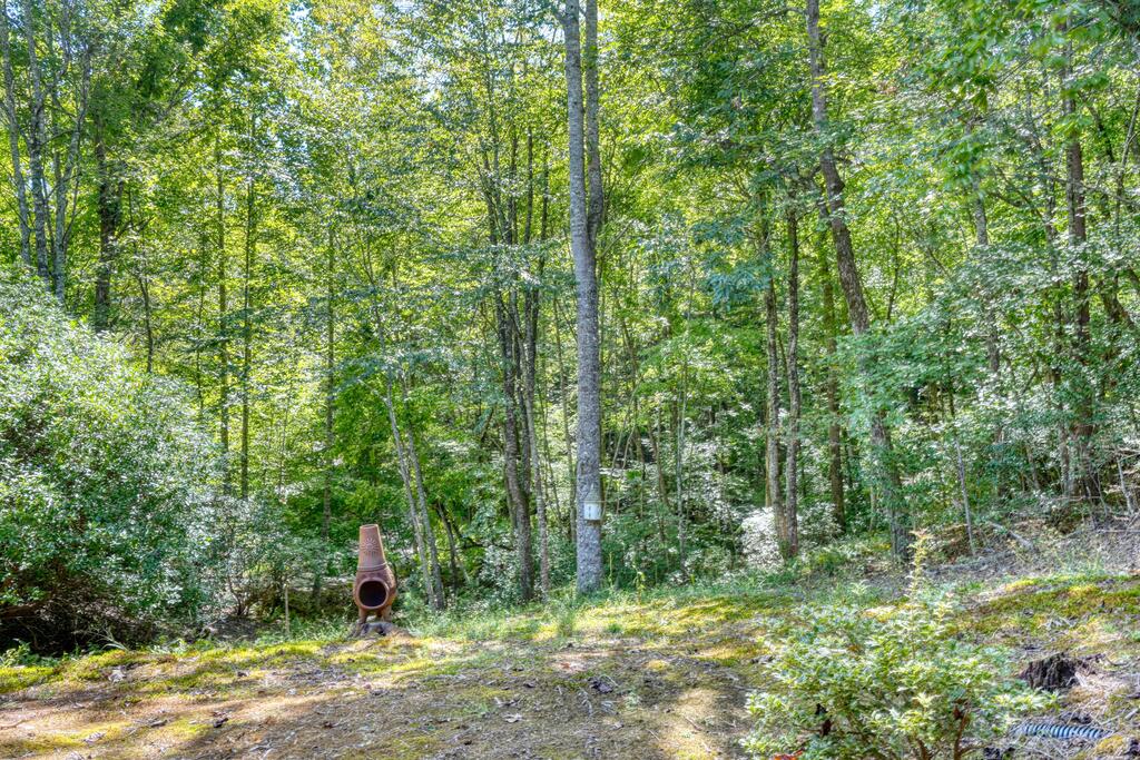 184 Beaver Ridge Road Murphy, NC 28906 - Photo 41 of 56 Gallery Image 41