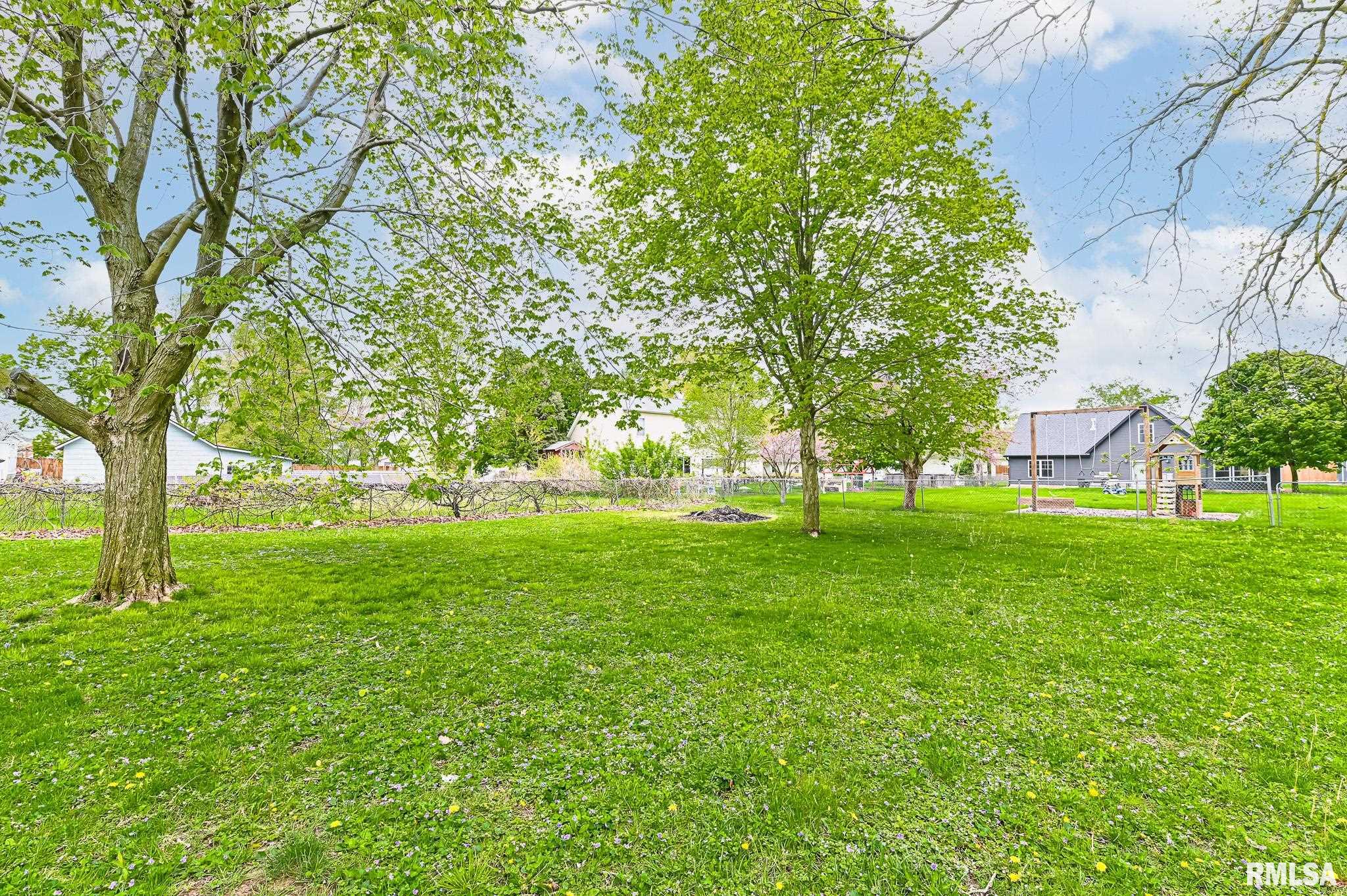 114 Detweiler Avenue Congerville, IL 61729 - Photo 31 of 32