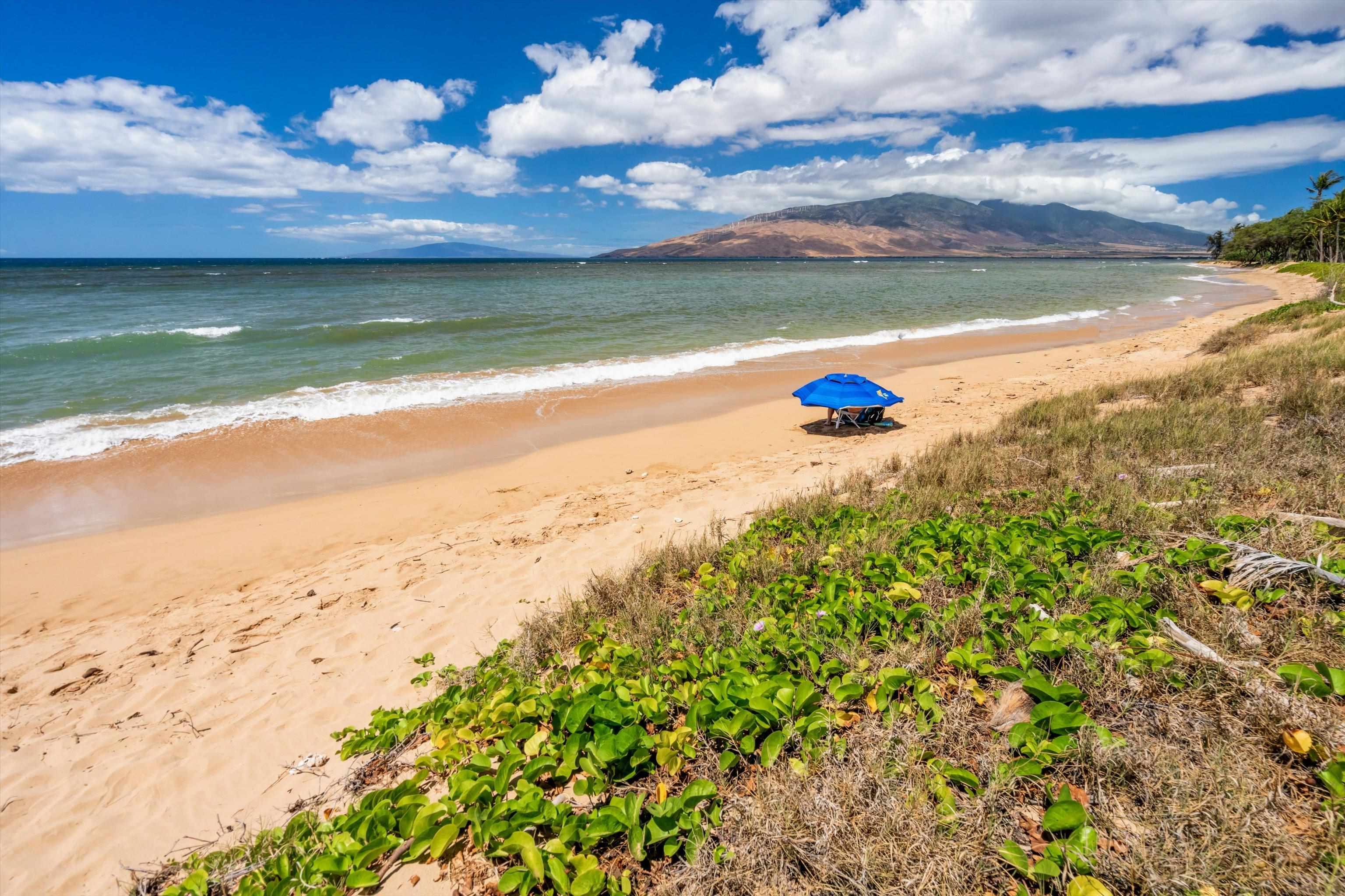1299 Uluniu Road, Unit G104 Kihei, HI 96753 - Photo 30 of 32
