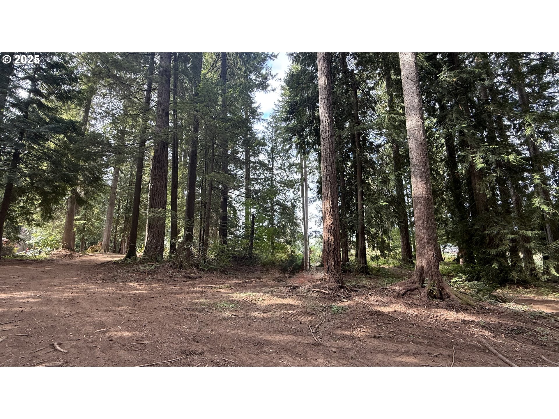 21385 Southeast Firwood Road Sandy, OR 97055 - Photo 13 of 13 a open area with trees in the background