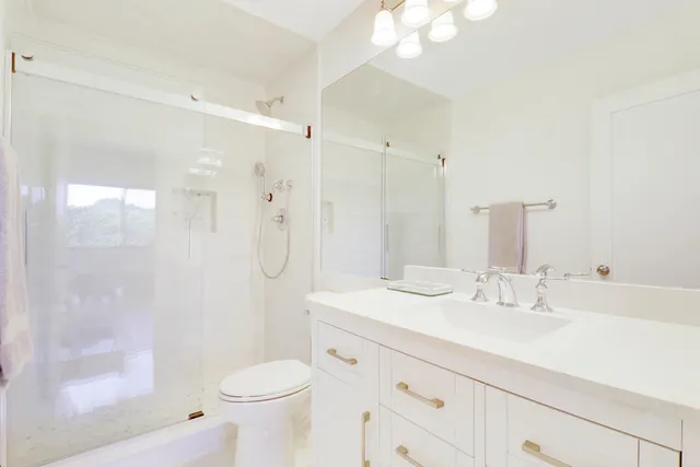 a bathroom with a sink a toilet a mirror and shower