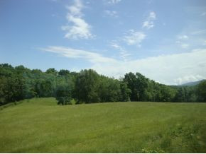 650 Mayberry Road, Unit 1 Jonesborough, TN 37659 - Photo 3 of 20 Photo 3