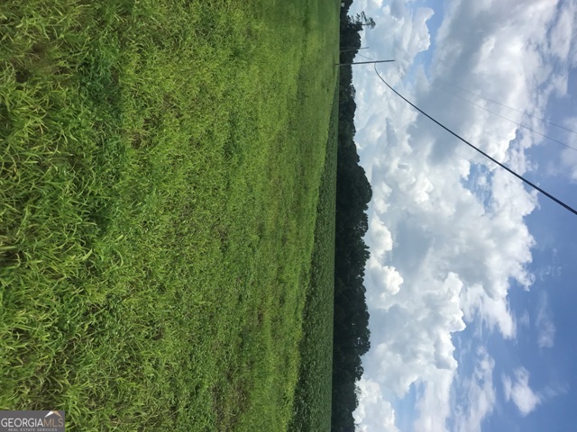 0 Highway 301 Claxton, GA 30417 - Photo 11 of 16 a view of a plant in a garden
