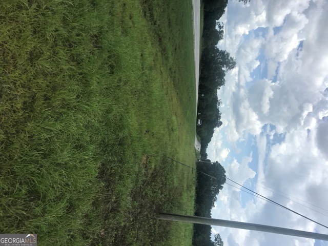 0 Highway 301 Claxton, GA 30417 - Photo 13 of 16 a view of a small yard