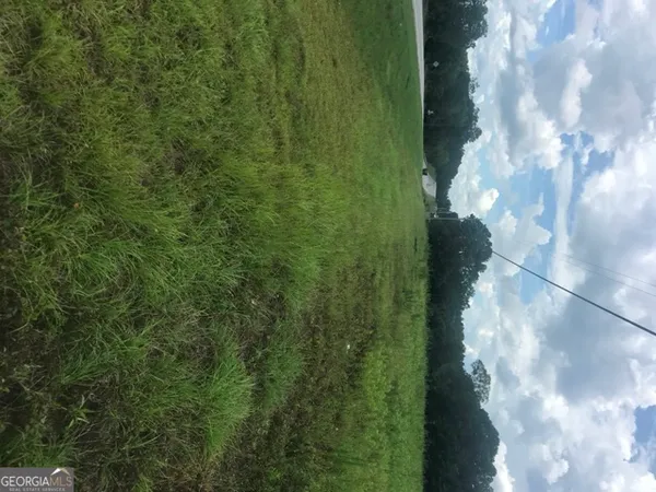 a view of a yard