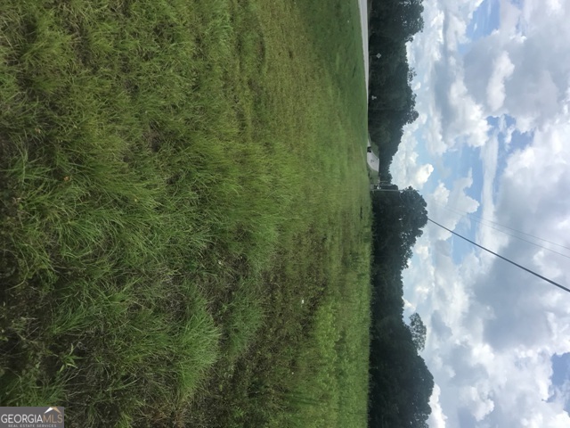 0 Highway 301 Claxton, GA 30417 - Photo 15 of 16 a view of a yard