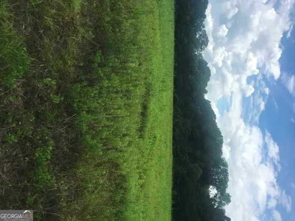 $3,100,000 | 0 Highway 301, Claxton, GA 30417