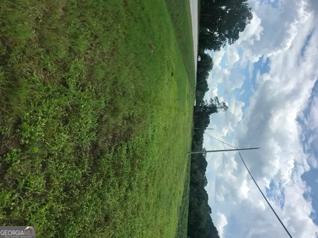 a close up of a plant in a garden