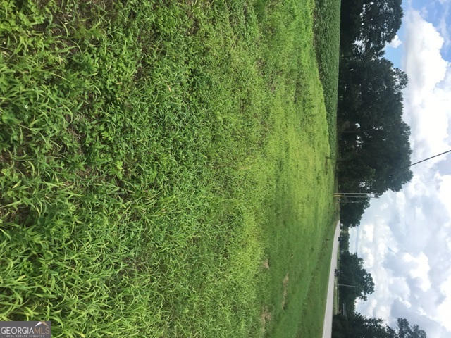 0 Highway 301 Claxton, GA 30417 - Photo 9 of 16 a view of a yard